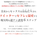 ネットでセフレを作るには？ツイッターでセフレを量産する教科書